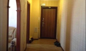 Сдается четырех комнатная квартира в Шакше по улице Гвардейская