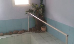 Сдается частный дом с сауной и бассейном в Затоне