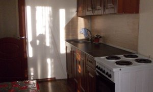 Однокомнатная квартира с панорамным видом в Инорсе