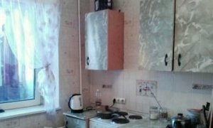 Сдается уютная двухкомнатная квартира с хорошим ремонтом в новом доме в Черниковке.